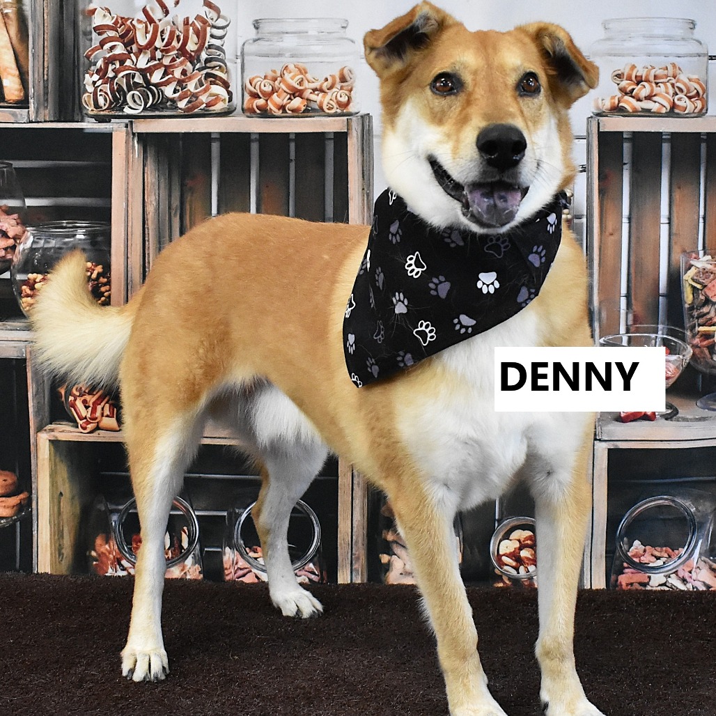 Denny