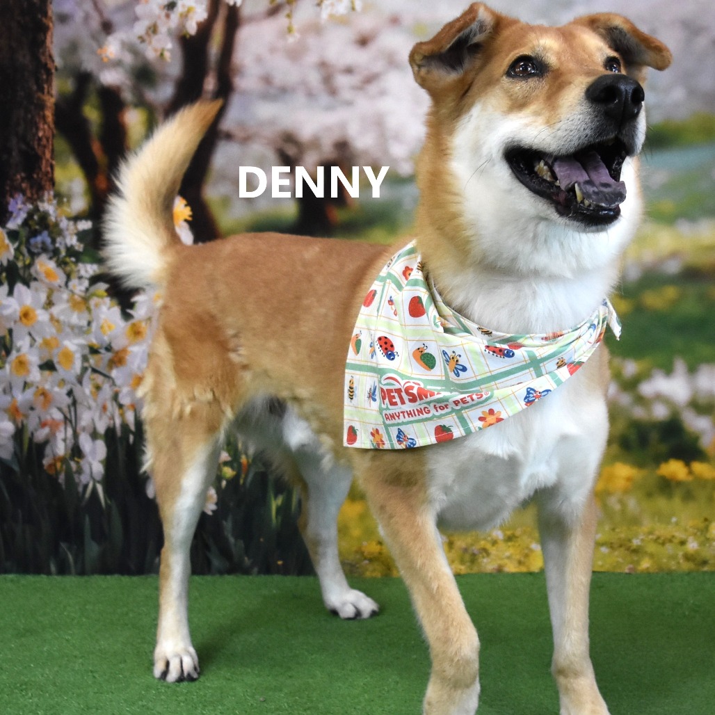 Denny