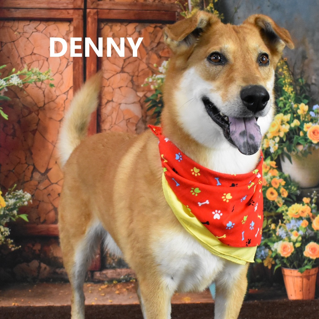 Denny