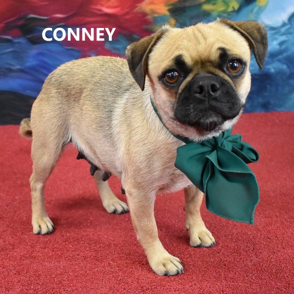 Conney