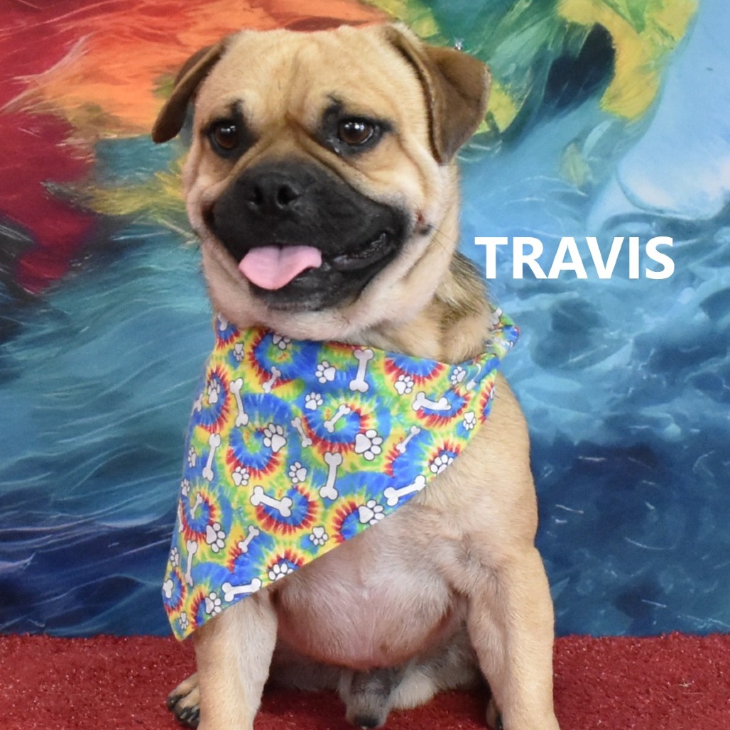 Travis