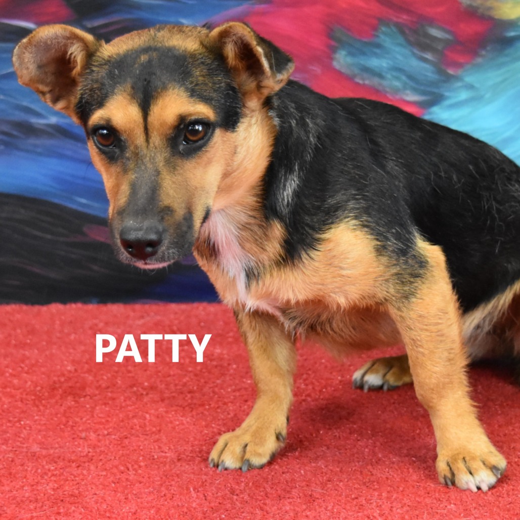 Patty 