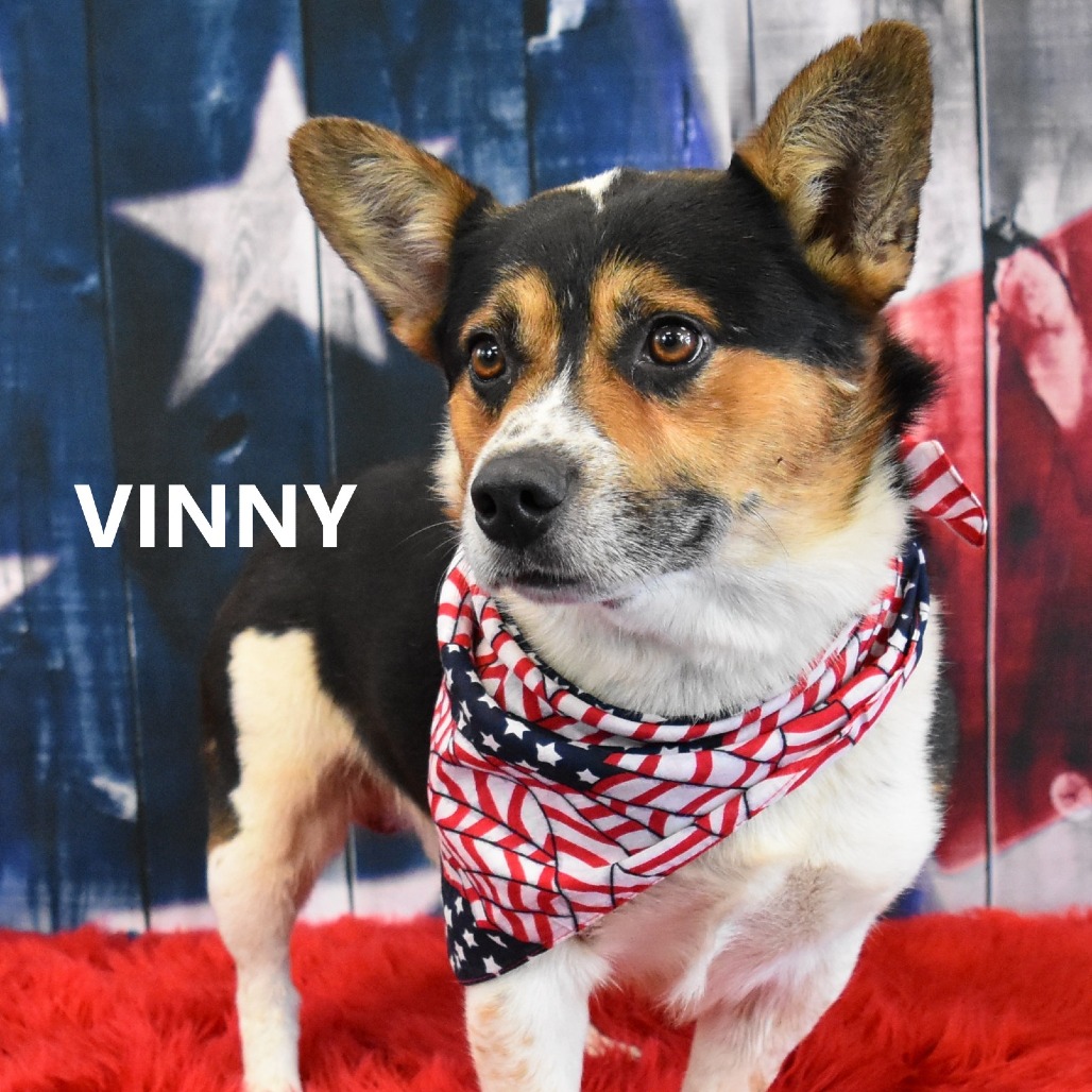 Vinny