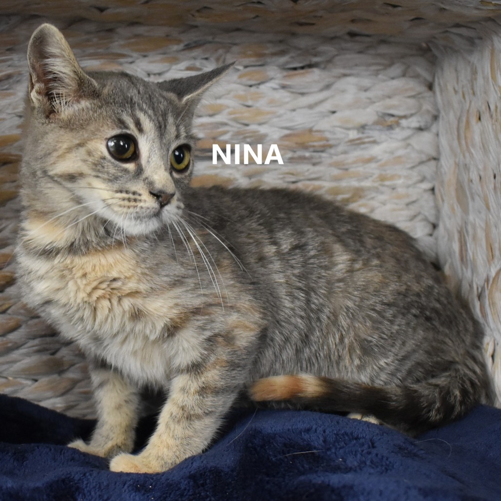 Nina