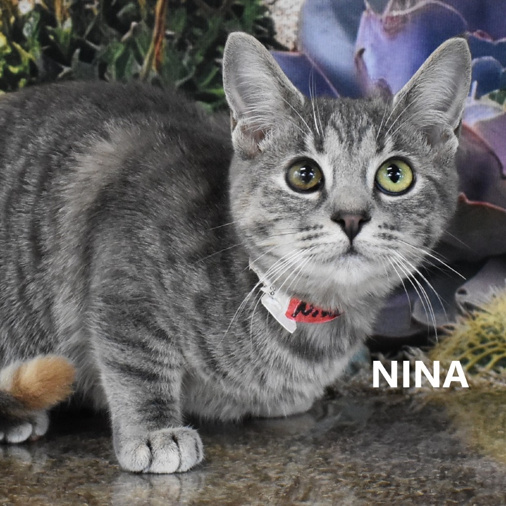 Nina