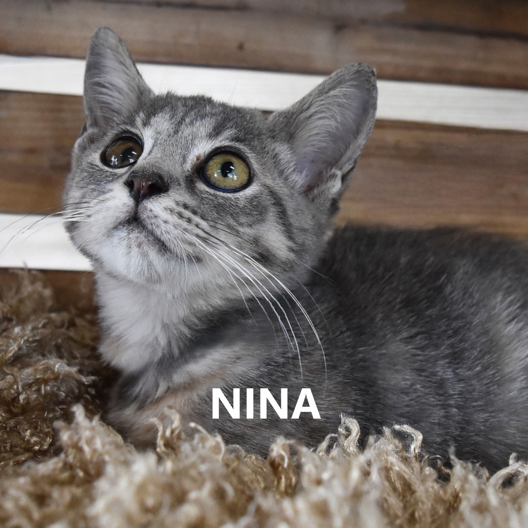 Nina