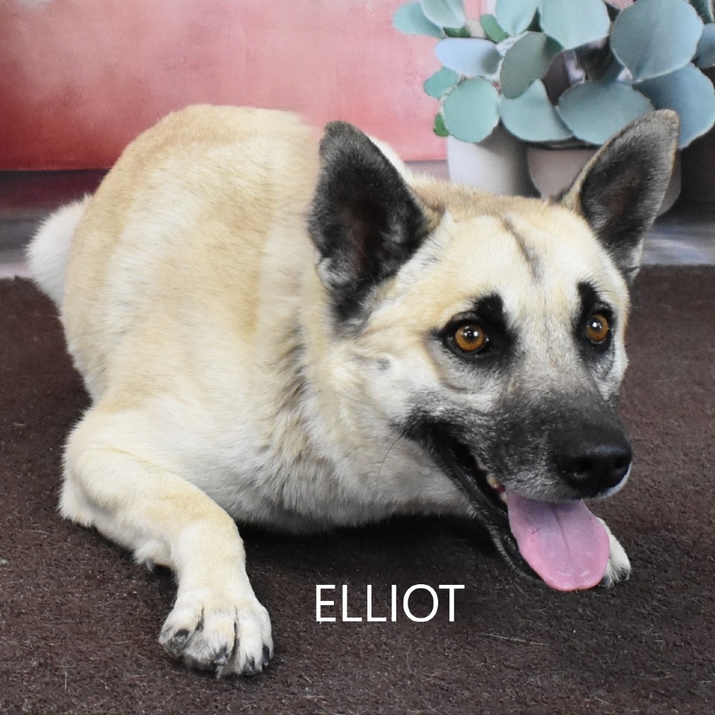 Elliot 