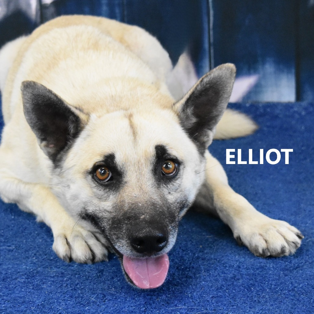 Elliot 