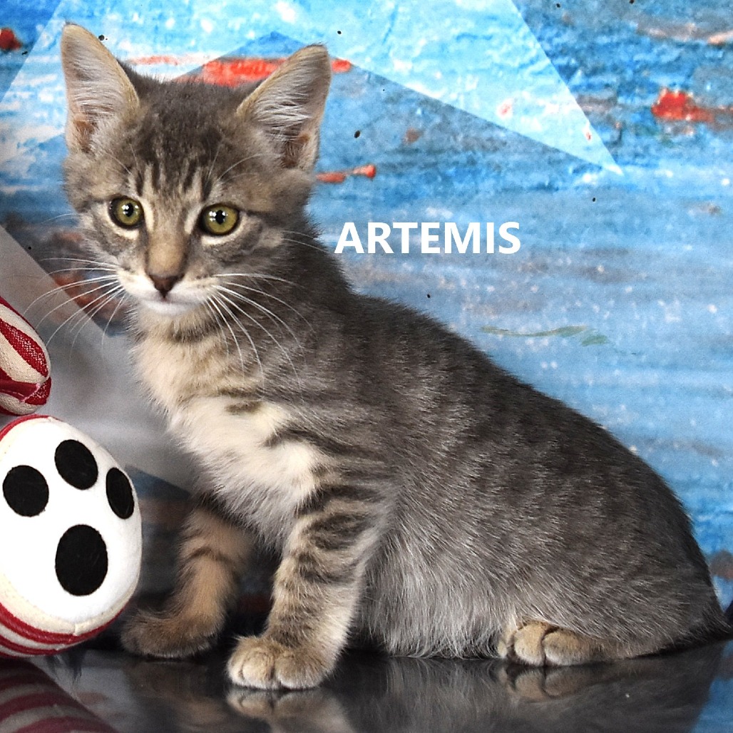 Artemis