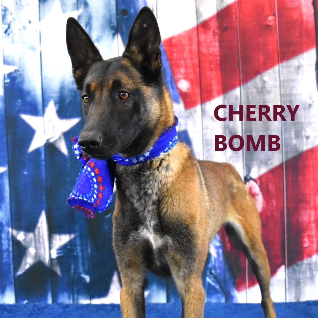 Cherri Bomb 