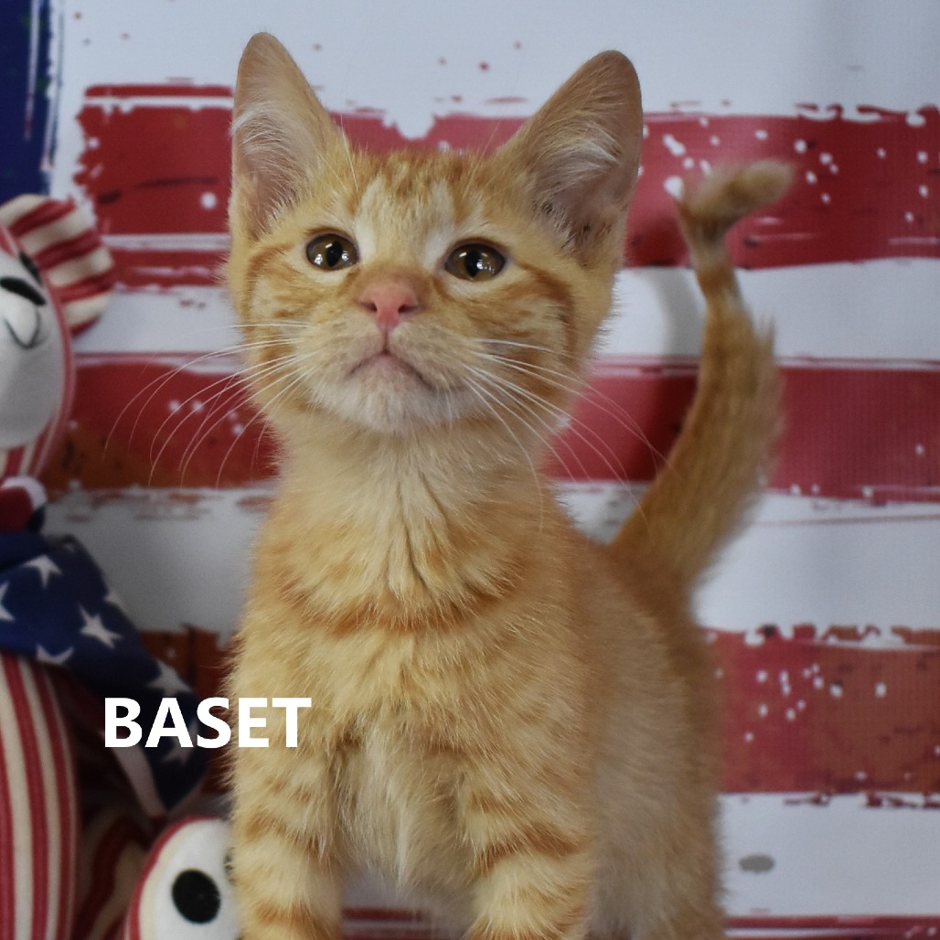 Baset
