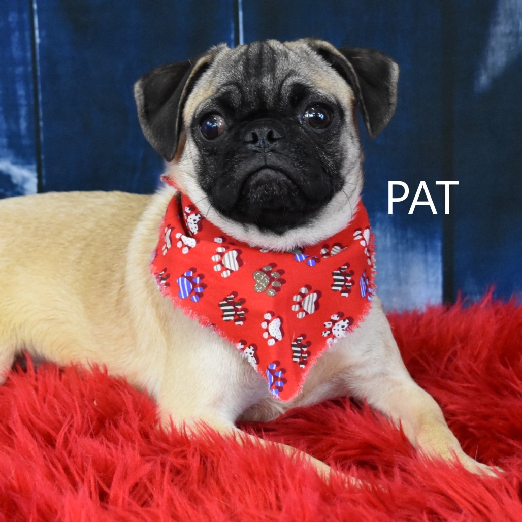 Pat