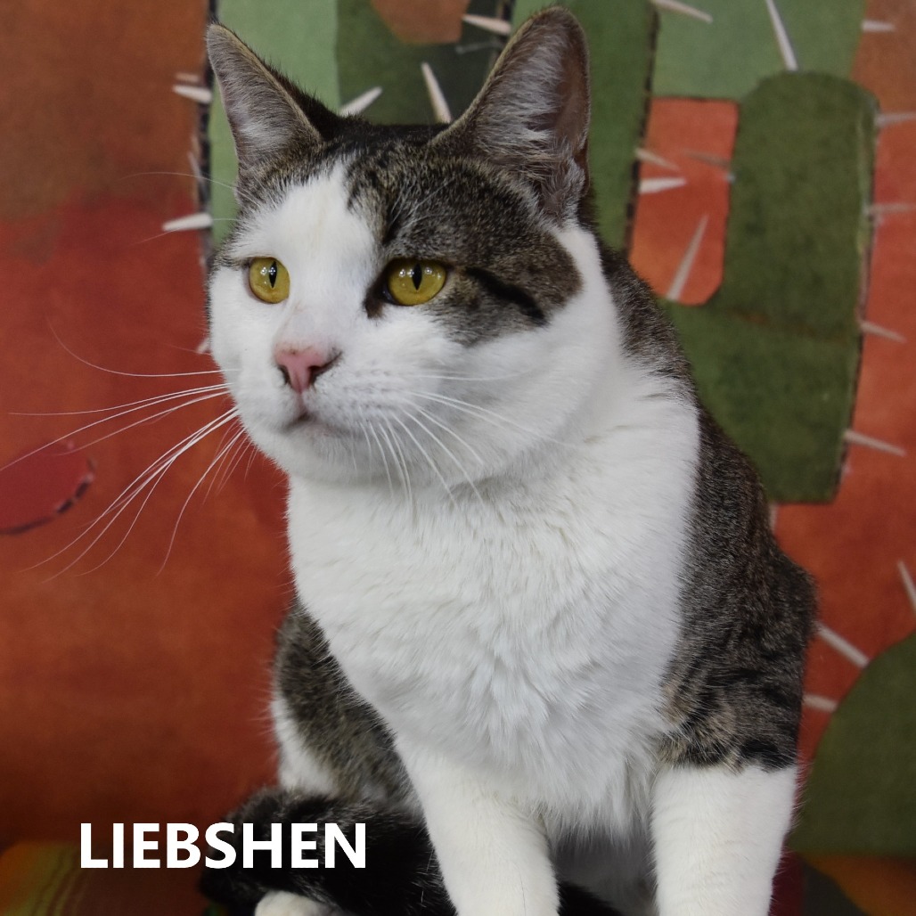 Liebshen