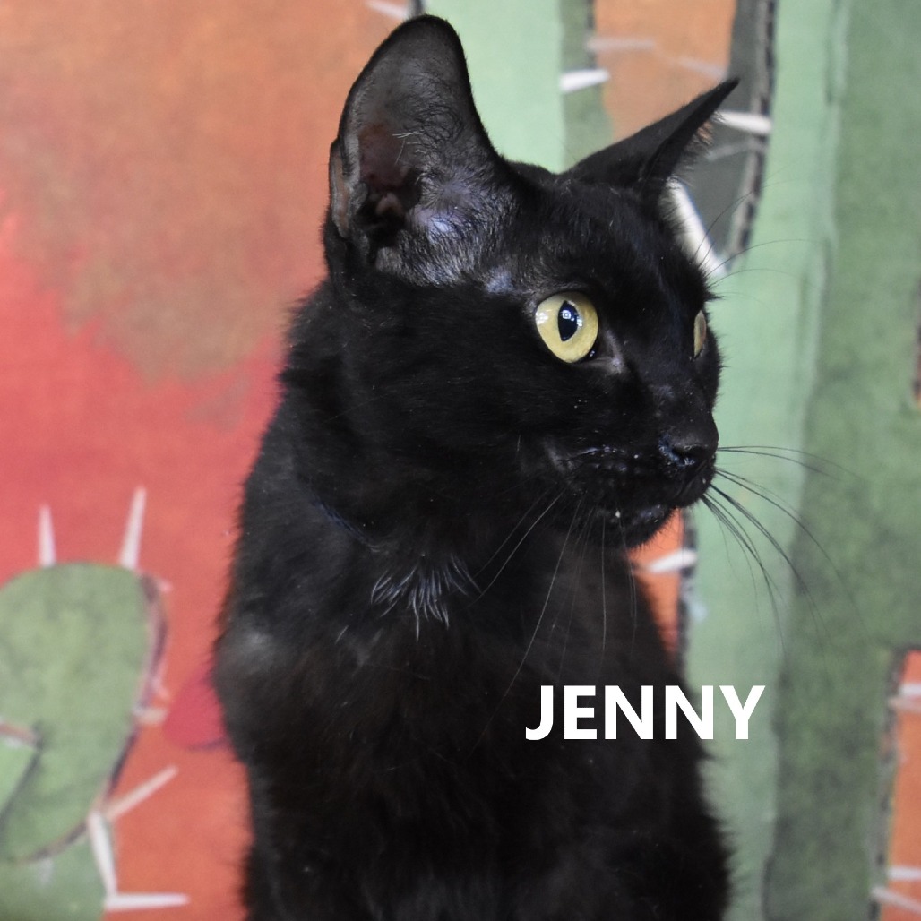 Jenny