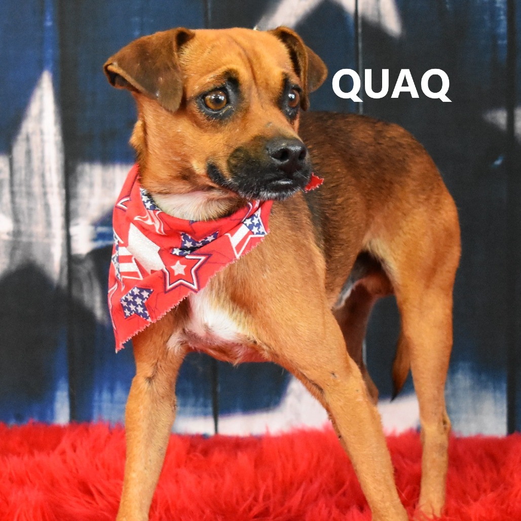 Guaq 