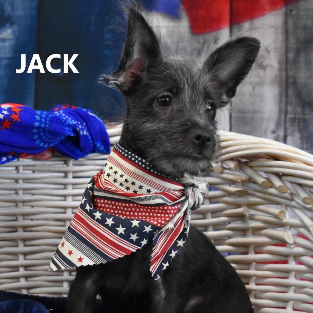 Jack