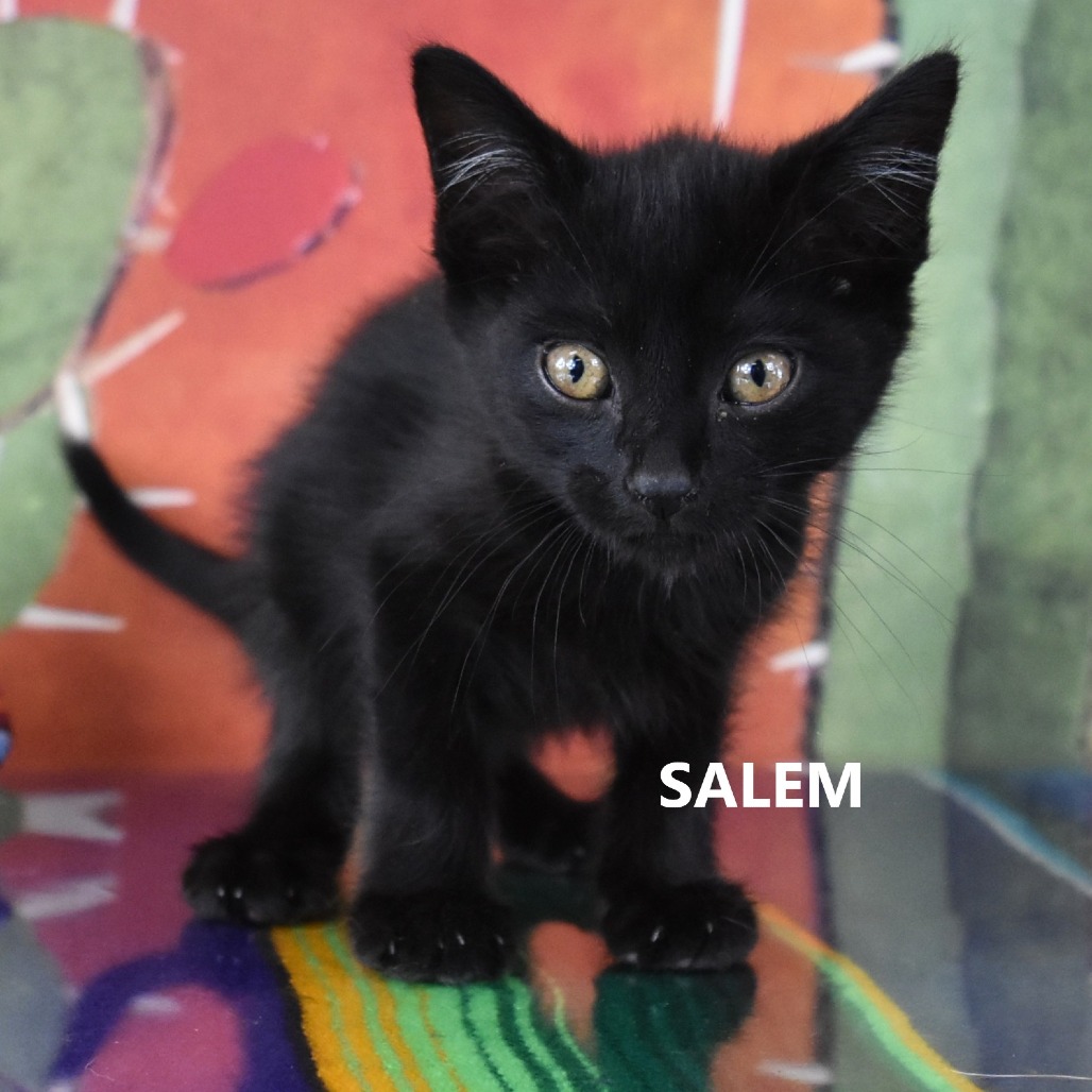 Salem