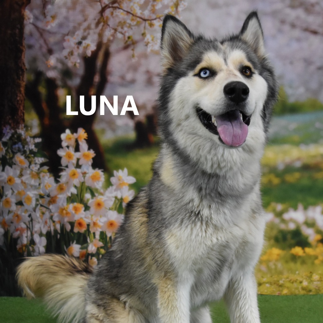 Luna