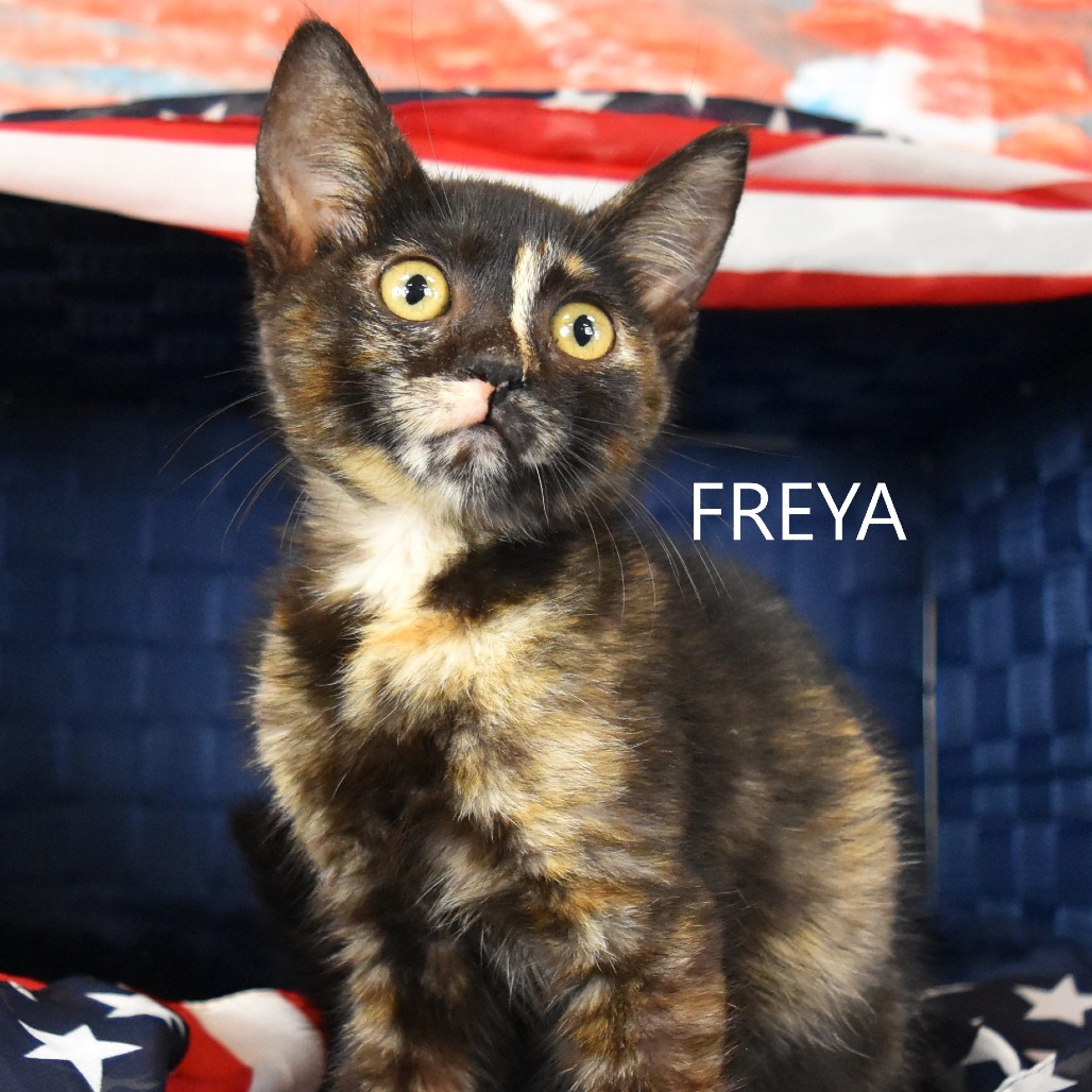Freya