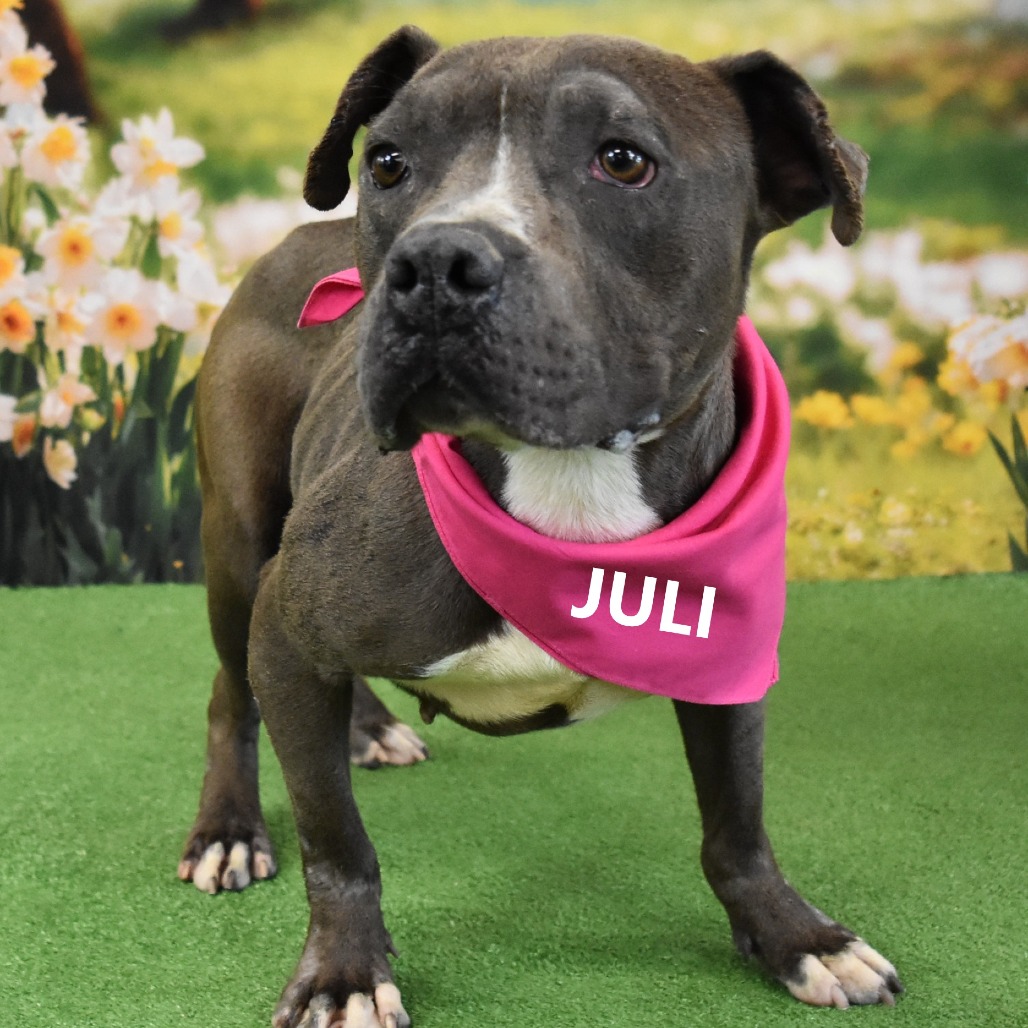 Juli