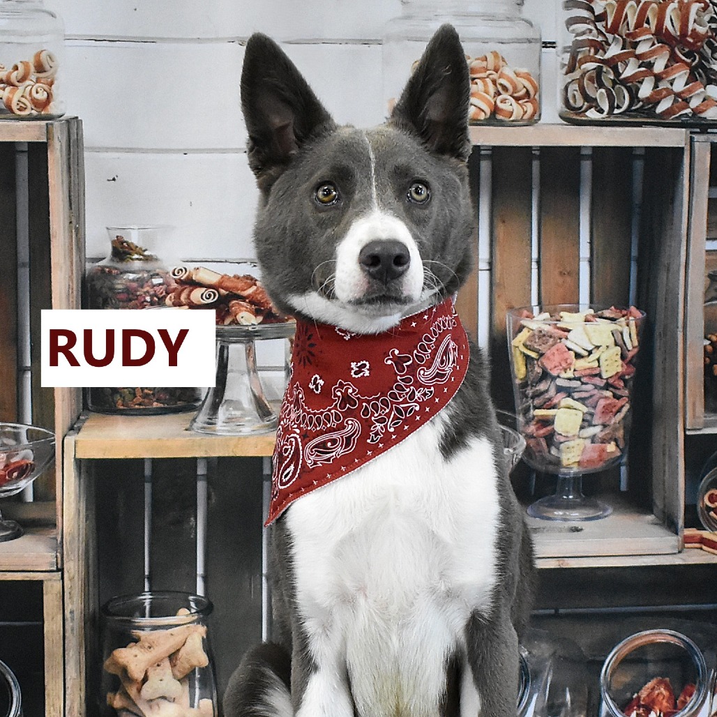Rudy