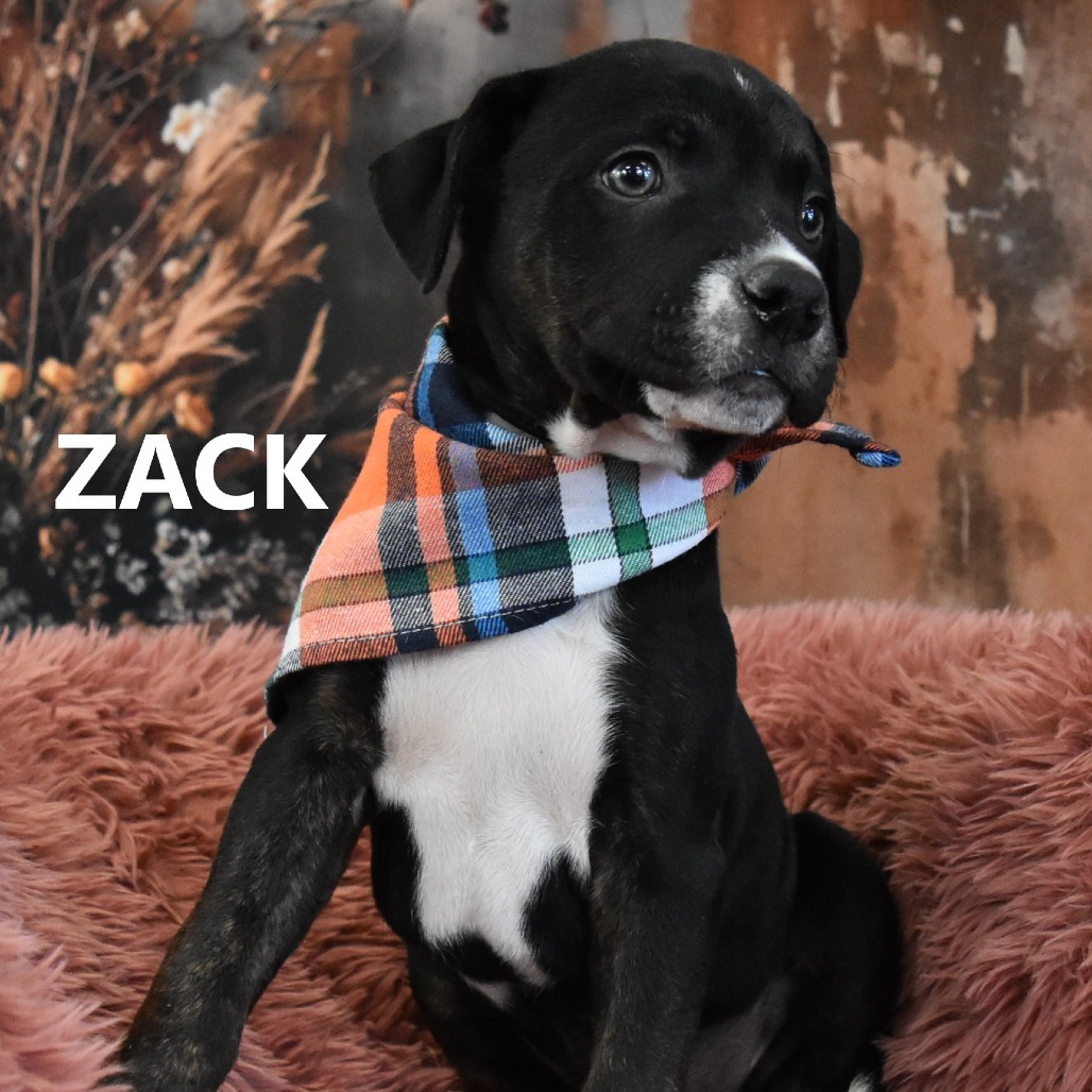 Zack