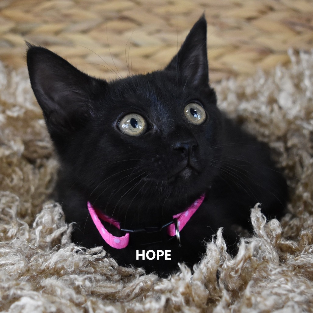 Hope