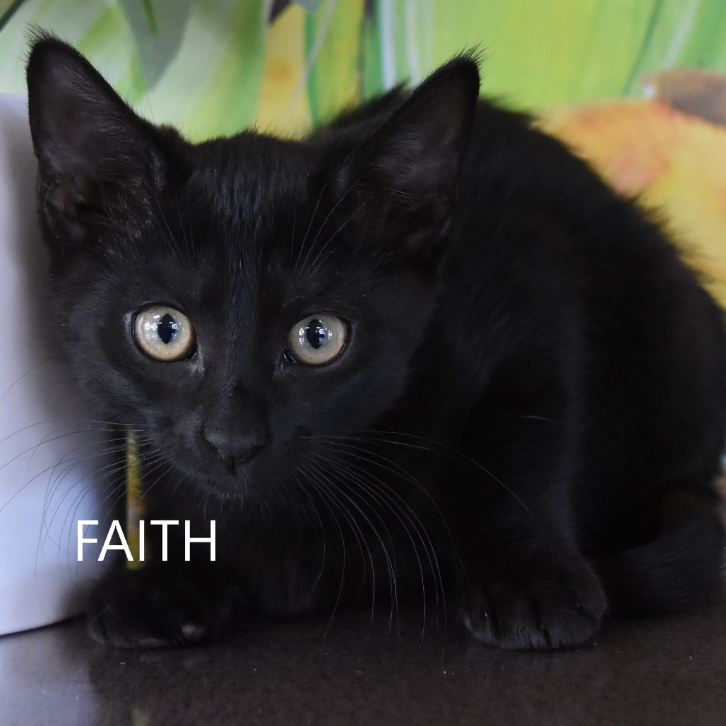 Faith