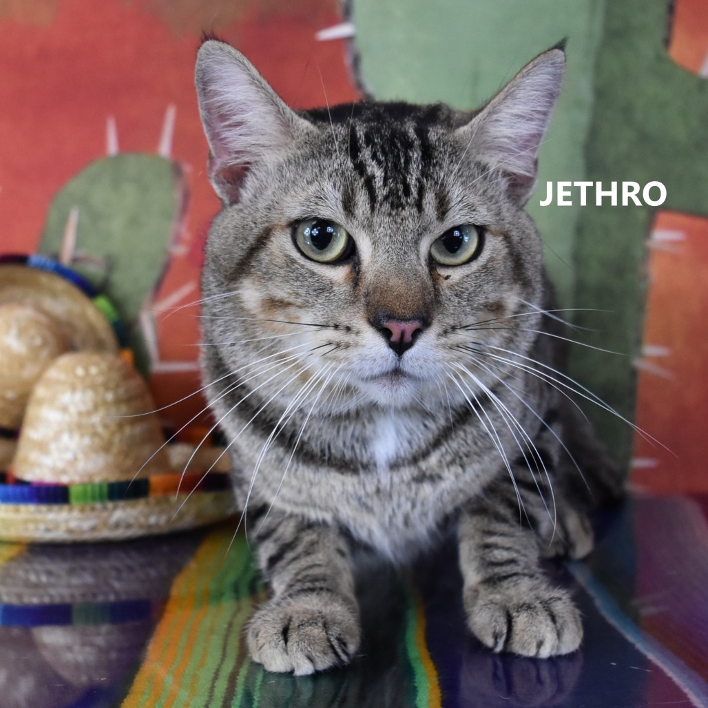 Jethro