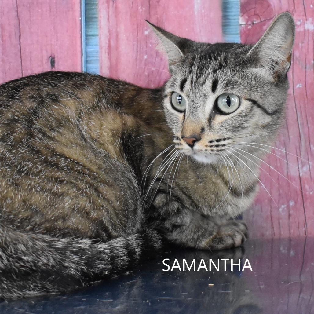 Samantha