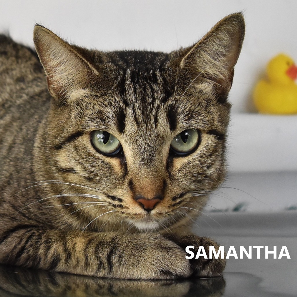 Samantha