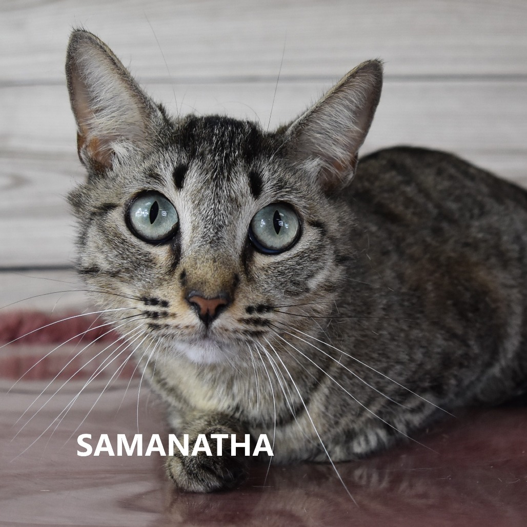 Samantha