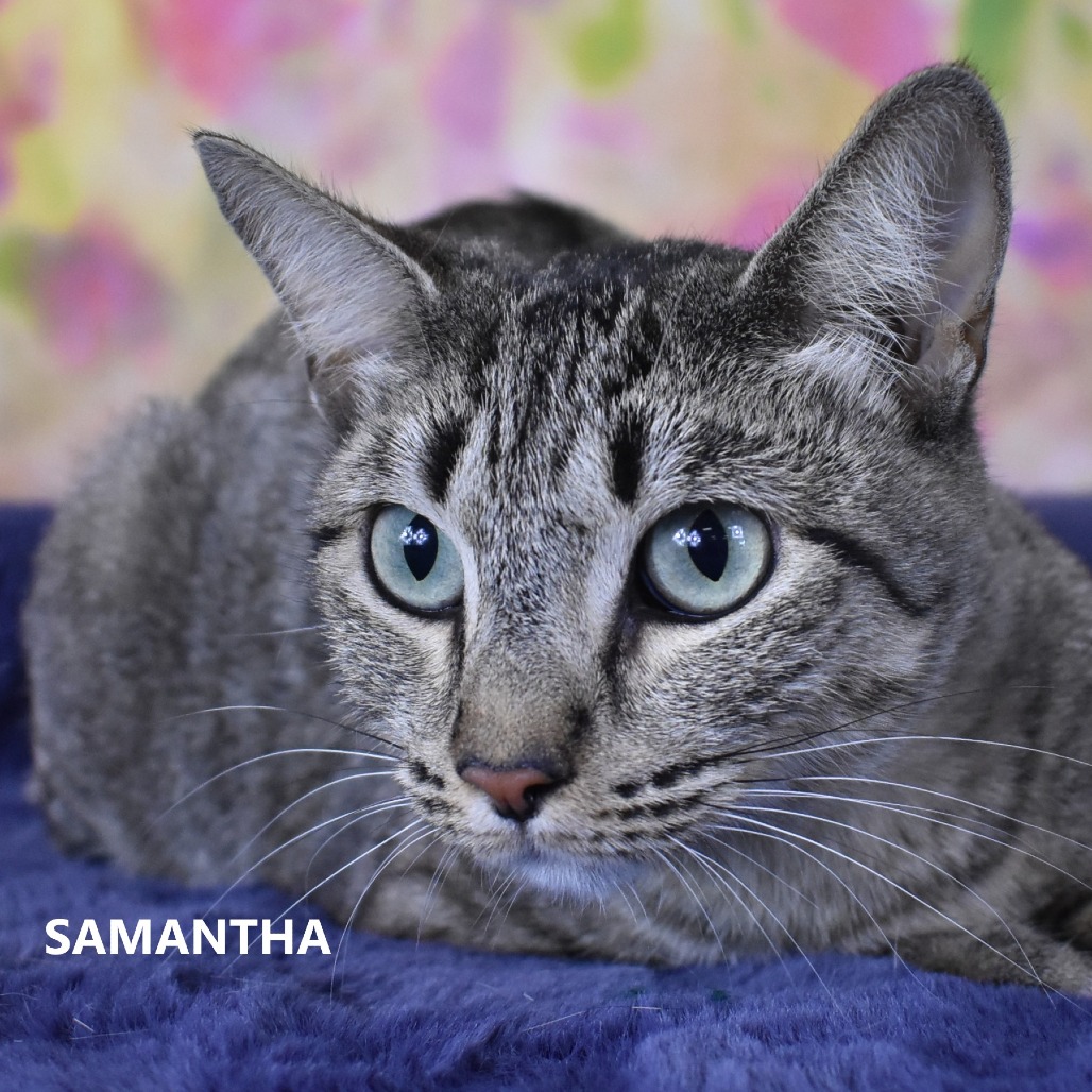 Samantha