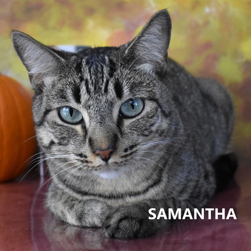 Samantha