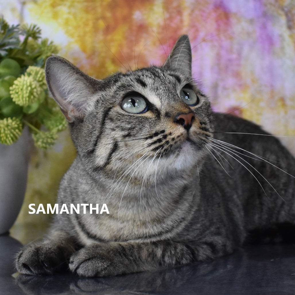 Samantha