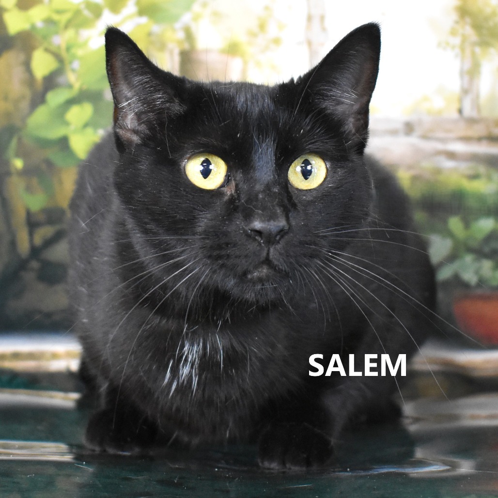 Salem 