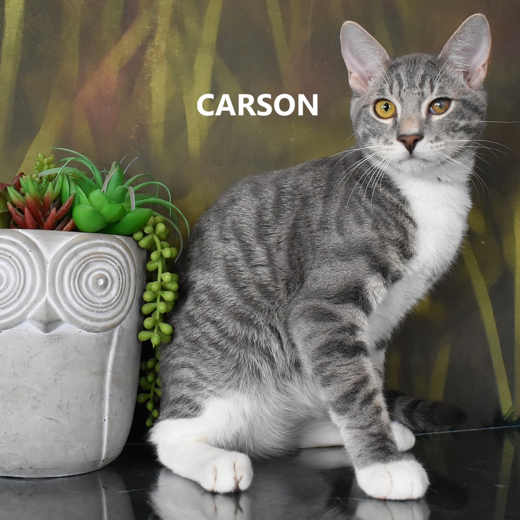 Carson