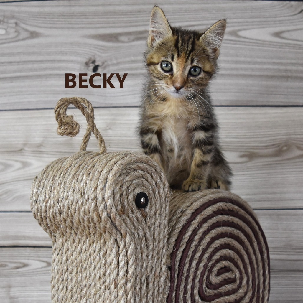 Becky