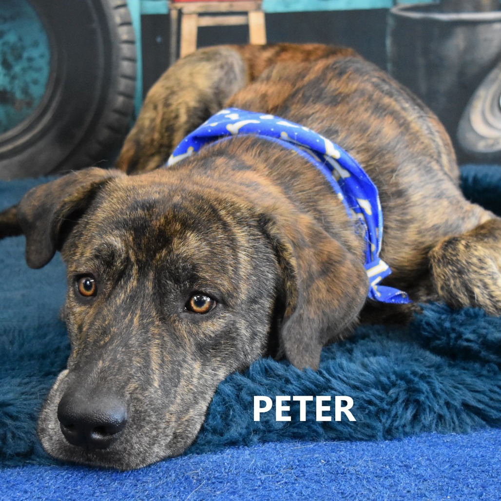 Peter