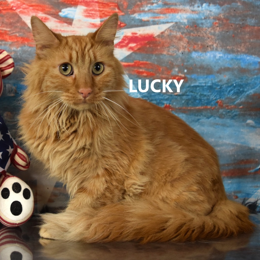 Lucky