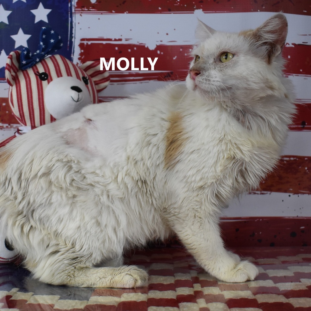 Molly