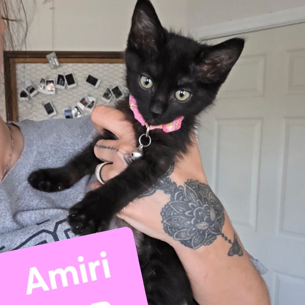 Aniri