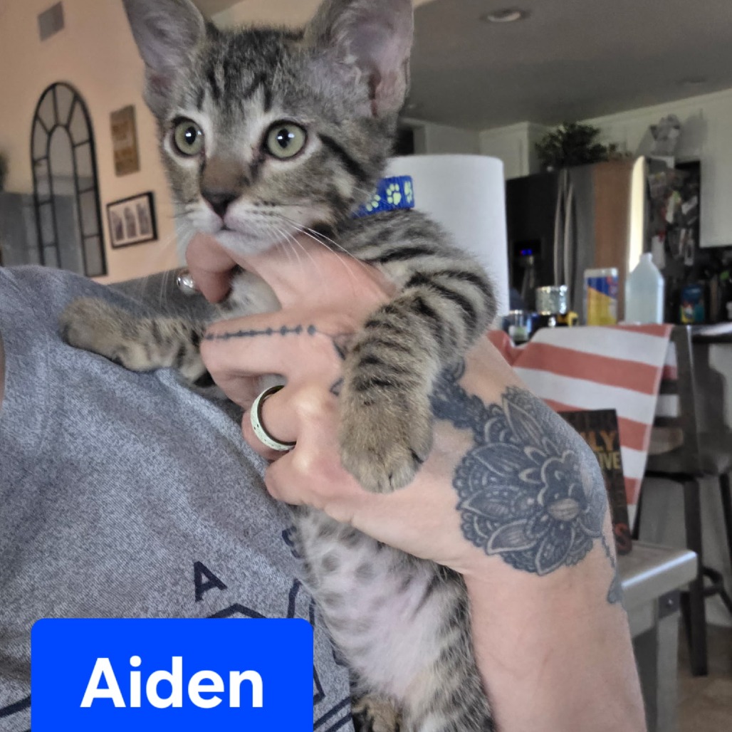 Aiden