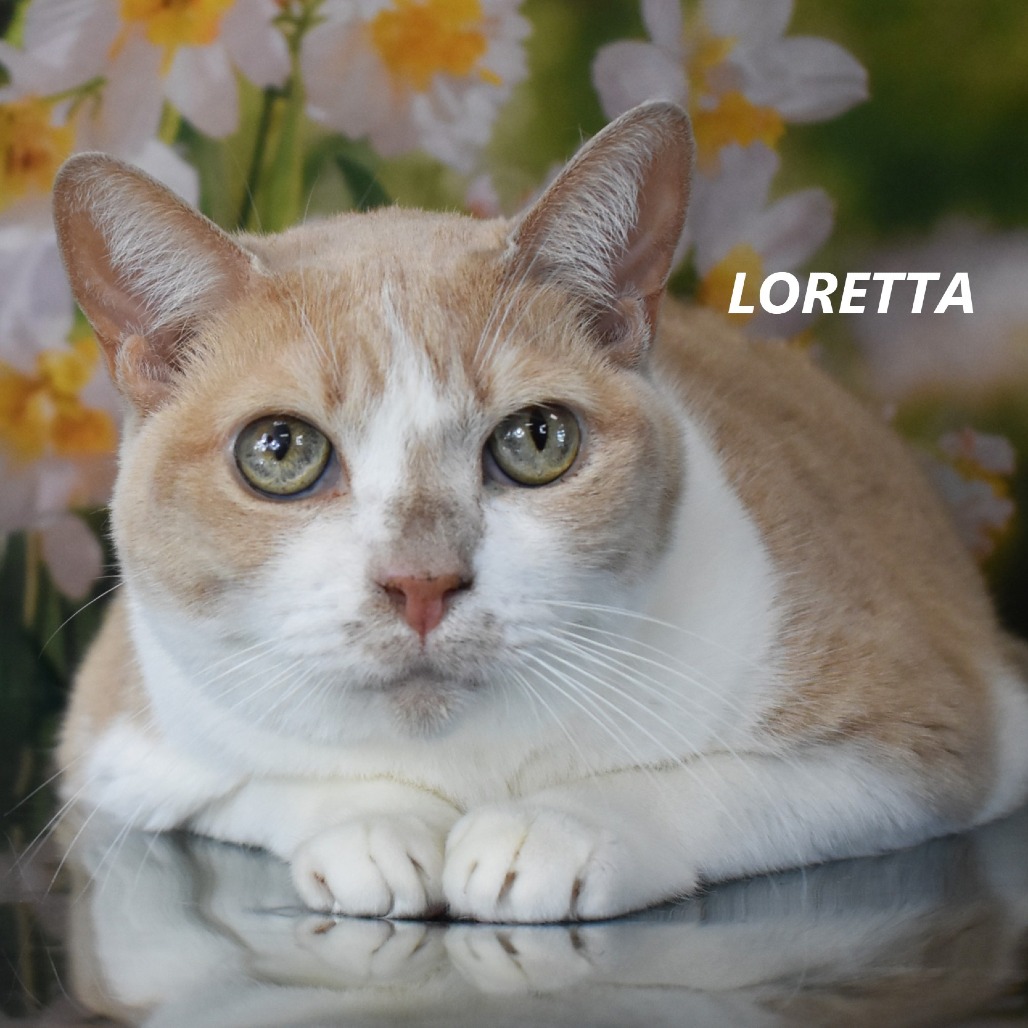 Loretta