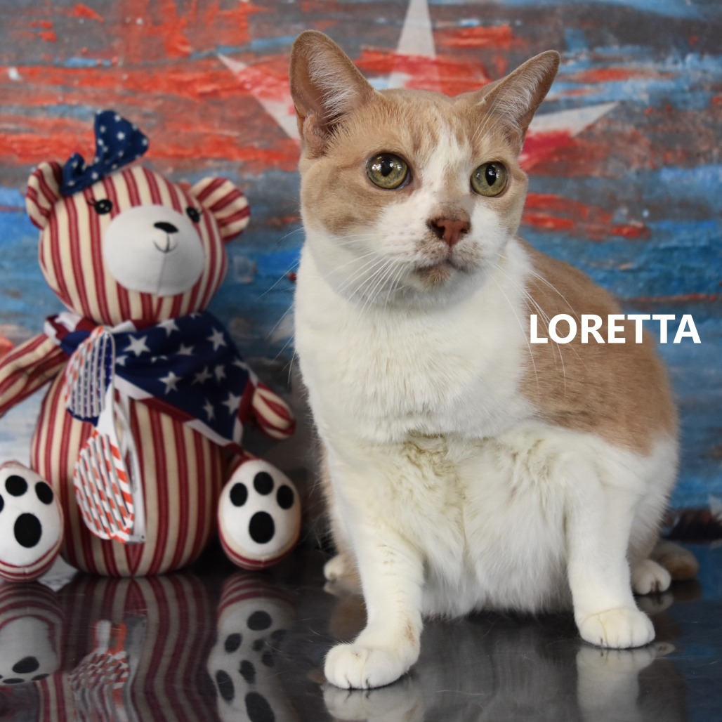 Loretta