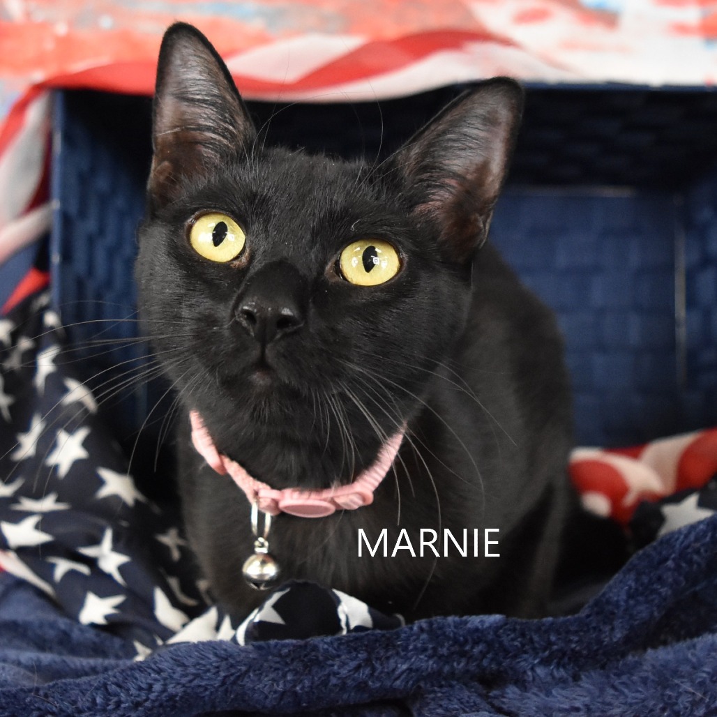Marnie