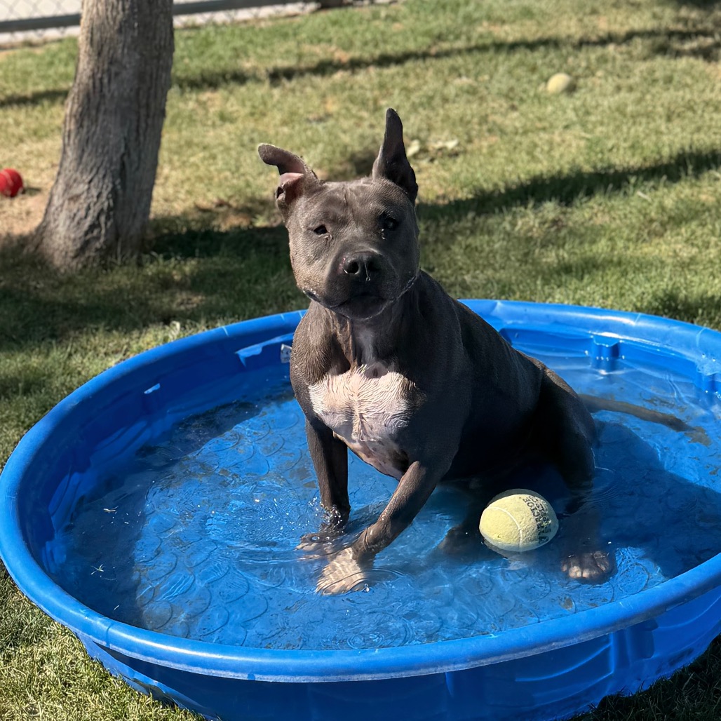 Zeke