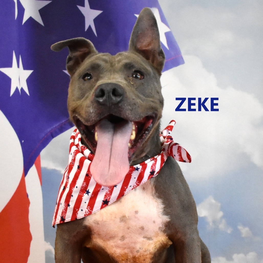 Zeke