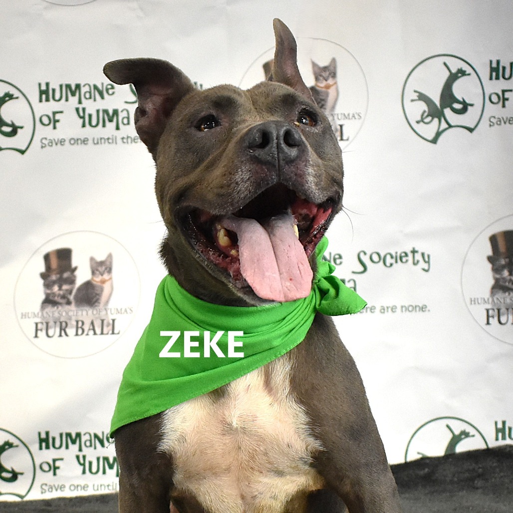 Zeke