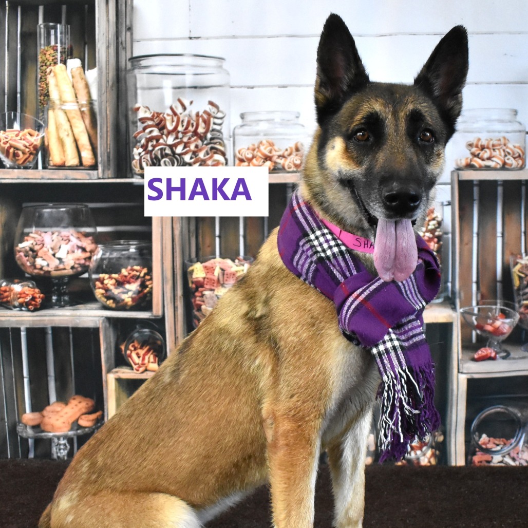Shaka